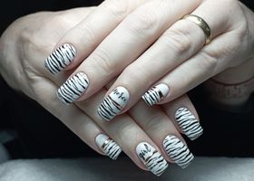 Nehty se zebra razítkem na bílém podkladu, se zlatými proužky a nálepkou – Nehty foto – Nehty Ilona